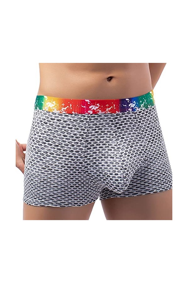 String Homme Sexy Hot Dentelle Slips Boxer Hommes arc-en- ceinture Plaid Boxer pantalon Europe et les états- grande pochette 