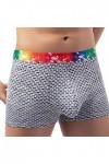 String Homme Sexy Hot Dentelle Slips Boxer Hommes arc-en- ceinture Plaid Boxer pantalon Europe et les états- grande pochette 