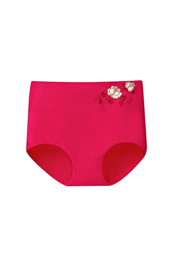 Femme Confortable Culotte en Dentelle Stretch Slip Culotte Taille Haute sans Couture Fraîche Femme Sexy Femmes Culottes À Nœu