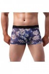 Générique Boxer Homme Maillot de Bain Sexy Briefs Thong Boxer en Dentelle tricotée Sexy Taille Basse Respirante pour Hommes d