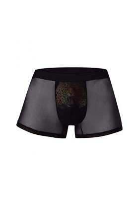 String Homme Humour sous-vêtements à lextérieur Soie Creuse Plat 3D Hommes Plaisir Impression de Glace Angle Boxeur Sexy sou