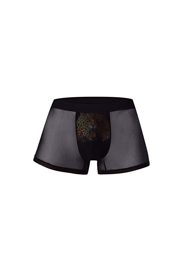 String Homme Humour sous-vêtements à lextérieur Soie Creuse Plat 3D Hommes Plaisir Impression de Glace Angle Boxeur Sexy sou