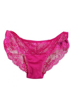 UOWEG Femmes Sexy Dentelle See-Through Respirant Mode Culotte Mémoires Lingerie sous-Vêtements Lingeries pour Femmes Hot Pin