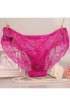 UOWEG Femmes Sexy Dentelle See-Through Respirant Mode Culotte Mémoires Lingerie sous-Vêtements Lingeries pour Femmes Hot Pin