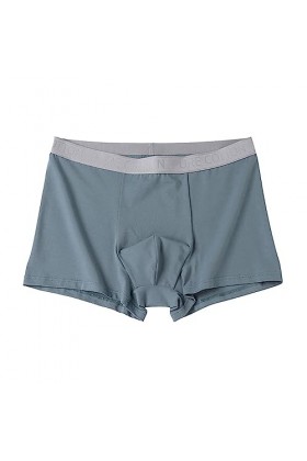 Générique String Homme Sexy Hot Dentelle Slips Boxer sous-vêtements pour Hommes Boxers en Respirants et Doux avec des Troncs 