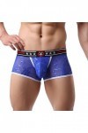 Générique Boxer Homme Maillot de Bain Sexy Briefs Thong Dentelle sous-vêtements Bas Briefs Sexy air Transparent Taille Sexy H