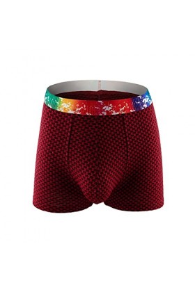 Boxer Homme Maillot de Bain Sexy Briefs Thong Hommes arc-en- ceinture Plaid Boxer pantalon Europe et les états- grande pochet