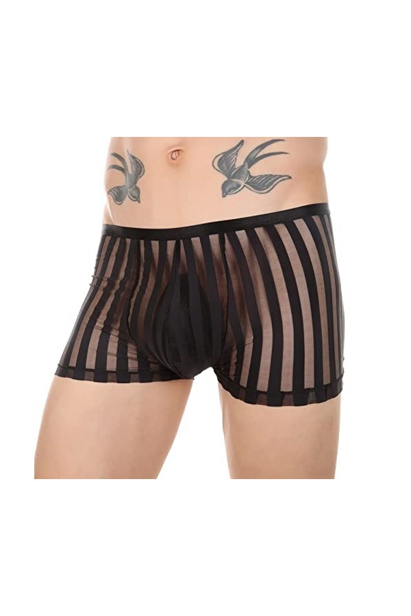 Boxer Homme Sexy Boxers pour Hommes Culottes Sexy Interband Respirant Briefs Striped Clear Mesh Boxers Briefs Boxeurs Aigles