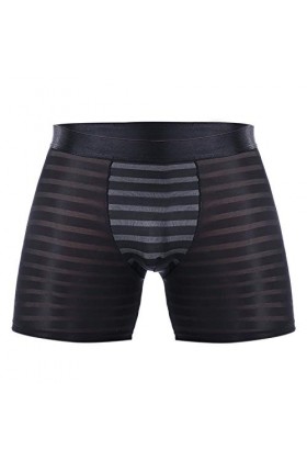 Strings Homme Soie Lot Long, Sexy, Respirant et Porter des sous-vêtements de Boxeur pour Hommes Tenue Homme Sexy Hot