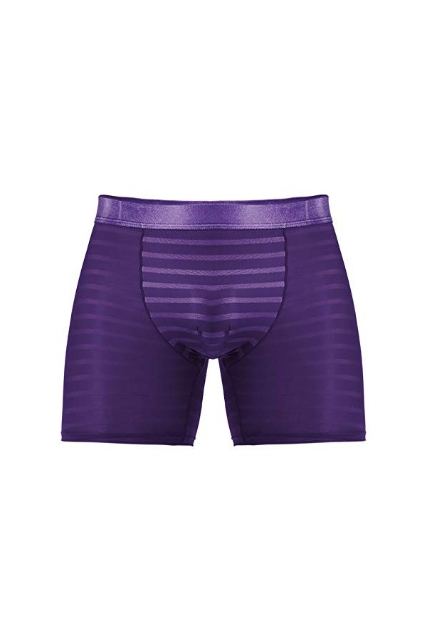 Strings Homme Soie Lot Long, Sexy, Respirant et Porter des sous-vêtements de Boxeur pour Hommes Tenue Homme Sexy Hot