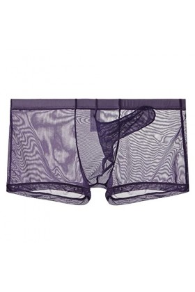 Générique Uniforme Sexy Homme sous-vêtements pour Hommes Maille Ultra-Mince sous-vêtements Respirants Nez déléphant Transpar