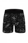 Boxers Homme Sexy Hommes Jeune Adulte Roman Dessin animé Motif Confortable Respirant Boxer Pantalon Doux Culotte Shorts numér