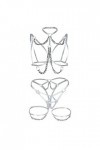 Deshabillé Body Combinaison Col V Profond Lingerie Lingerie érotique Sexy poitrine exposée sangle métal chaîne jarretelle déc