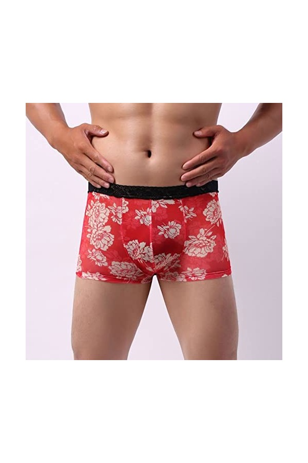 Générique Boxer Homme String Dentelle pour Homme Boxer en Dentelle tricotée Sexy Taille Basse Respirante pour Hommes de Coule