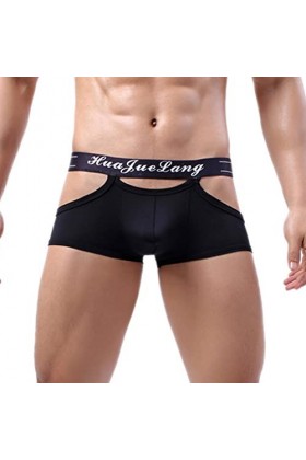 sous-vêtements pour Hommes caleçons Sexy Coton sous-vêtements Respirants Sexy Slips Hommes Strings Culottes