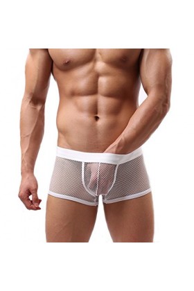 DDSCOLOUR Boxer Homme Sexy Slips Shorts sous-vêtements Transparent Briefs [Blanc-Large]