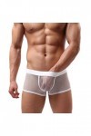 DDSCOLOUR Boxer Homme Sexy Slips Shorts sous-vêtements Transparent Briefs [Blanc-Large]