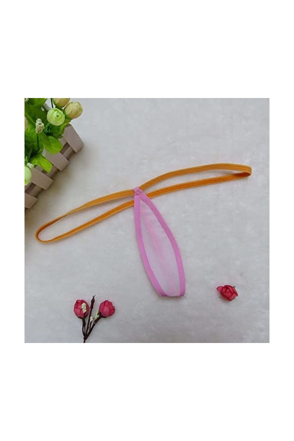 HELLORSOON String pour Femme Sexy Dentelle Florale Confortable Coupe Française String Dentelle Transparent Érotique Romantiqu