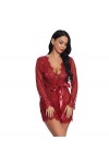 JINZIJINYU Nuisette Sexy Femme Ceinture De Lingerie Sexy Taille Plus Pour Femmes Pyjama En Dentelle Sexy Perspective Cardigan
