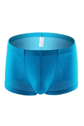 CHOUBAGUAI Lingerie Sexy pour Hommes Sheer Mesh Boxer Shorts Sheer Bikini Culotte String-Sky Blue-XL-1pc