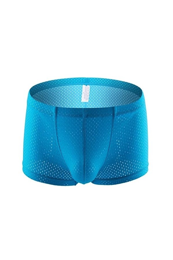 CHOUBAGUAI Lingerie Sexy pour Hommes Sheer Mesh Boxer Shorts Sheer Bikini Culotte String-Sky Blue-XL-1pc