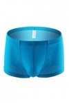 CHOUBAGUAI Lingerie Sexy pour Hommes Sheer Mesh Boxer Shorts Sheer Bikini Culotte String-Sky Blue-XL-1pc