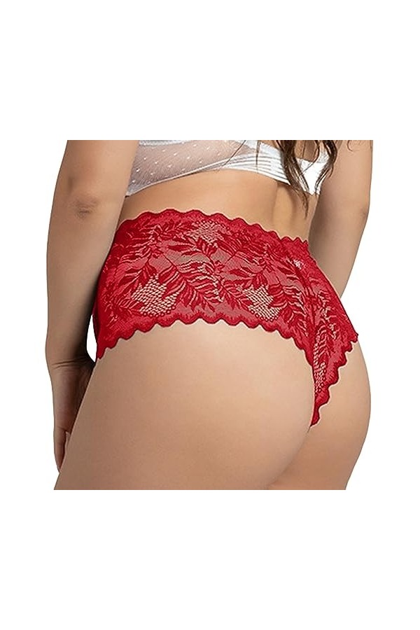 Culottes Femme Dentelle Taille Haute Slip Grandes Tailles Lingerie Respirant Pantalon Contrôle du Ventre Taille Haute Microfi