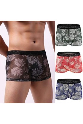 Seoilty 4pc Boxer Homme Imprimé Dentelle Transparent T-Back Culotte Taille Basse BombéE sous-VêTement De Nuit Culotte Sexy Re