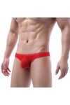 PONNYC 2Pcs Sexy Hommes sous-vêtements Slips sous-vêtements Respirants Hommes Slips Voir à Travers Bikini Hommes Lingerie Mes
