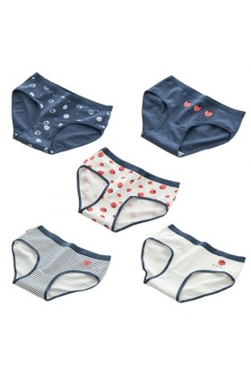 SINMIUANIME Lot de 5 culottes en coton pour femme - Taille moyenne - Imprimé anime - Doux et respirant, Ours mignon., XL