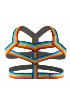 HSQSMWJ Homme Harnais de Poitrine Muscle Lingerie Tenu de Club Jeu de Rôle Color:Iridescent,Size:One Size 