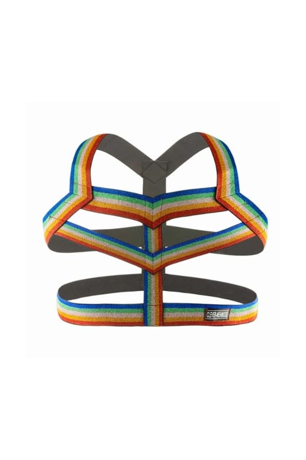 HSQSMWJ Homme Harnais de Poitrine Muscle Lingerie Tenu de Club Jeu de Rôle Color:Iridescent,Size:One Size 