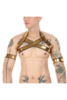 HSQSMWJ Harness Homme Lingerie Licou Cou Corps élastique Harnais Bandage Costume Tenu de Club Jeu de Rôle Color:Gold,Size:One