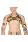 HSQSMWJ Harness Homme Lingerie Licou Cou Corps élastique Harnais Bandage Costume Tenu de Club Jeu de Rôle Color:Gold,Size:One