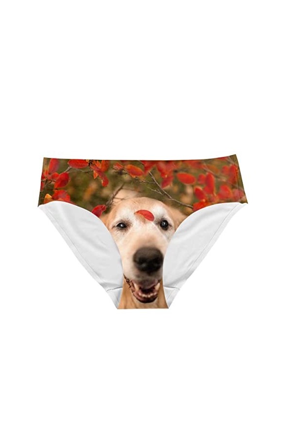 Cumagical Sous-vêtements sexy pour femme Motif animal rétro - - Medium