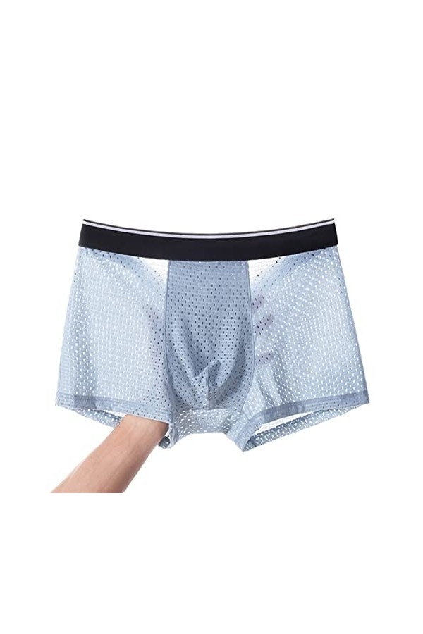 NAZARR Big Men Ice Silk Underwear Mesh Sexy Respirant Un Short Boxeur Transparent Semi Les mémoires Masculins Skinny Stretch 
