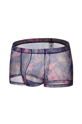Générique Boxer Transparent en Maille Confortable pour Hommes sous-vêtement Sexy en Soie glacée Slip Taille Basse Transparent
