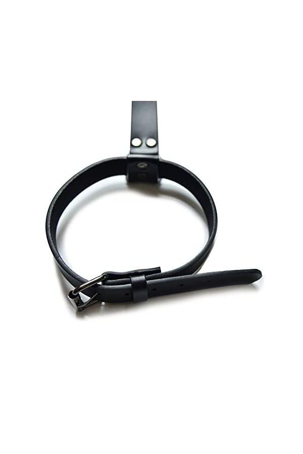 HYQPAI Colliers ras du cou en cuir sexy pour hommes Collier exotique pour homme Décoration Cuir Personnalisée Jouets Tendance