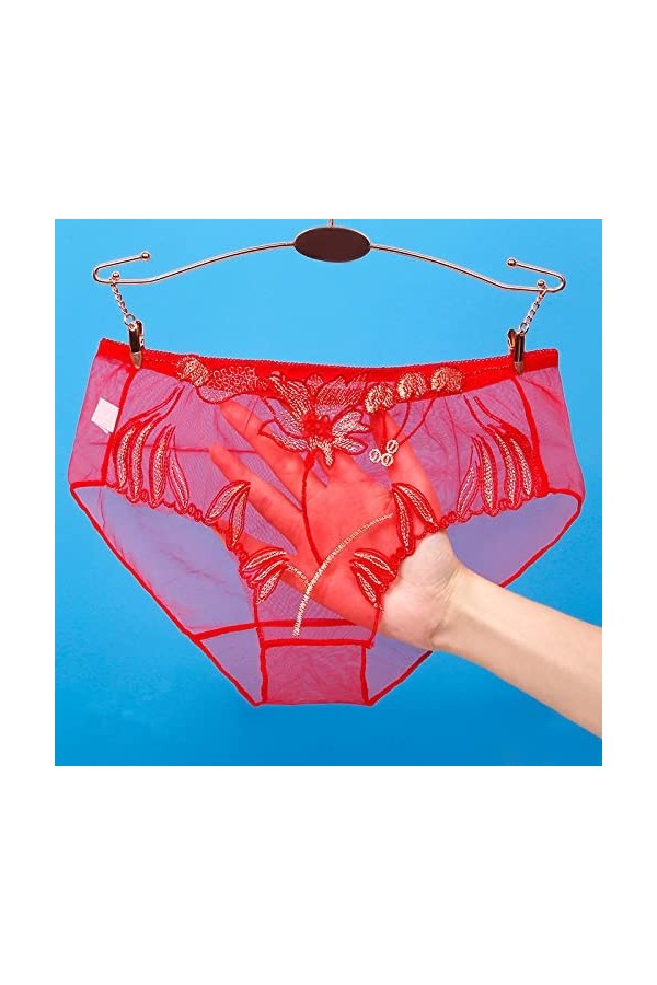 Bywenzai Culotte sous-Vêtements Transparents pour Femmes Dentelle Maille Culottes Lingerie Érotique Évider Fille Slips Fil Ne