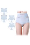 ARTEBU Microfiber Brief Panties for Women, Pelvis Magnet Compression Ice Silk Shaper, Ultra Thin Belly Hip Briefs for Sportin