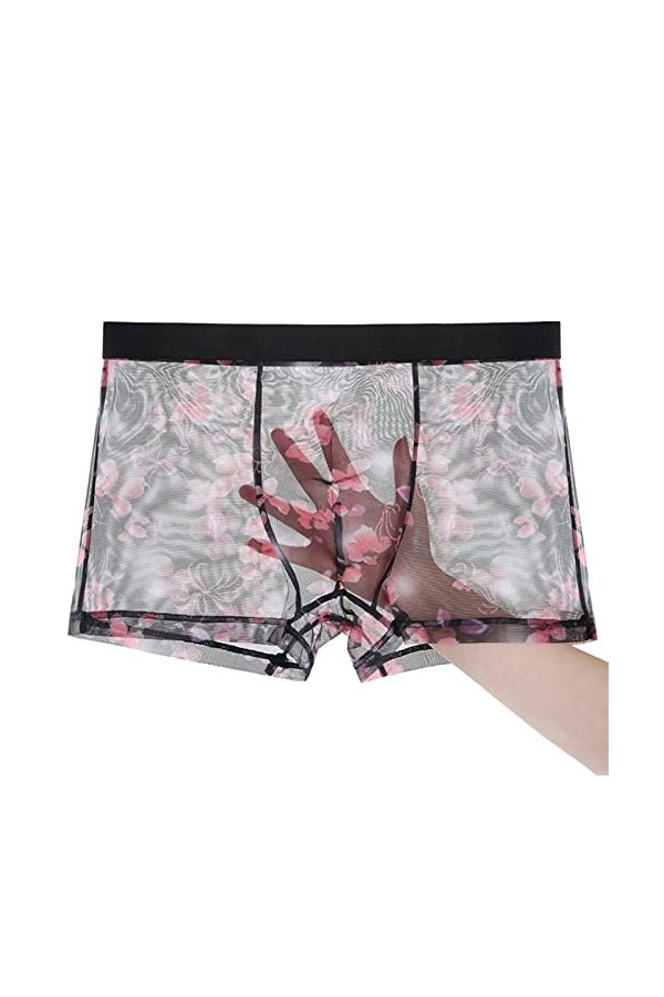 NAZARR Boxers en Maille Transparente Ice Silk sous-vêtements Ultra-Mince Plus Taille mâle de Tronc Masculin Respirant Sexy C