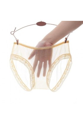 PIANAI Culotte Sexy en Maille Transparente pour Femme sans Couture Respirante Sexy Taille Basse Lot de 2 ,Violet,L