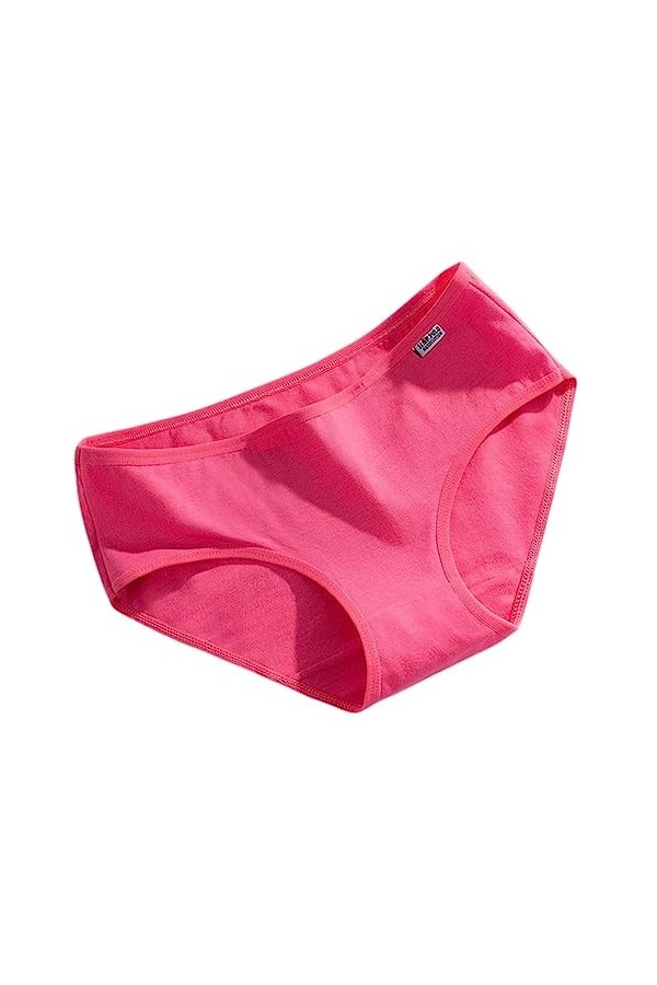 RUDDOG Culotte Femme 3Pc / Culotte De Coton Confortable pour Femmes sous-Vêtements Féminins Moyens Moyens De Grande Taille De