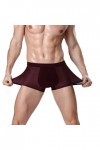 NAZARR 1PCS / Lots Sexy Underwear Men Boxer Brief L-XXXL Boxershorts Big Mesh Men Sexy sous-vêtements Color : Red, Size : XL