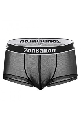 BIATWOWR Boxer Lettres pour homme See Through Mesh Sexy Short Leg Underpants Pantalon Sexy Underwear Trunks for Man M L XL 2X