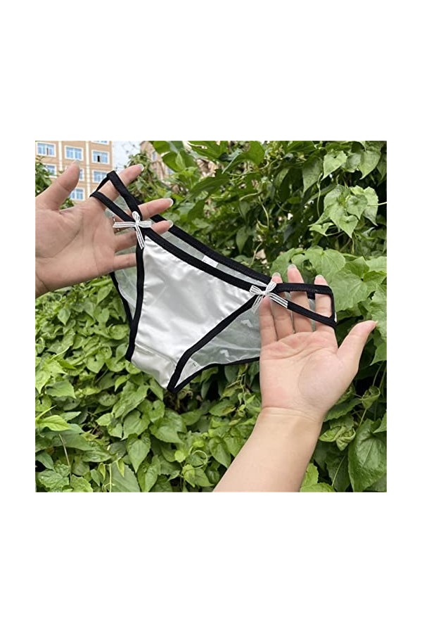 MULANY Femme Slips 3 pièces Sexy Slips en Maille Femmes Culotte en Dentelle Taille Basse sous-vêtements Transparents Dames Tr