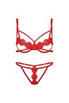 YIJIAN Soutien-Gorge en Dentelle Transparente pour Femmes Creux Sortir de la Poitrine Panties G-String Lingerie Color : Red,