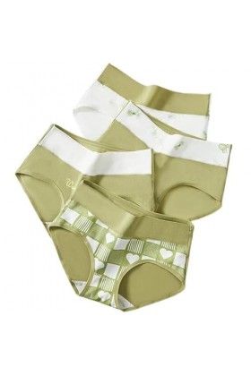 RUDDOG Culotte Femme Culotte Menstruelle 4Pcs Plus Size Culottes Femmes Tout Coton Taille Haute Slim Slim Lingerie sans Coutu