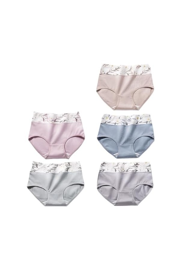 RUDDOG Culotte Menstruelle 5Pcs / Set Femmes Culotte Coton Haute Taille des sous-Vêtements Respirant Slip Panty Sombres-G,M 