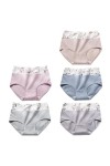 RUDDOG Culotte Menstruelle 5Pcs / Set Femmes Culotte Coton Haute Taille des sous-Vêtements Respirant Slip Panty Sombres-G,M 